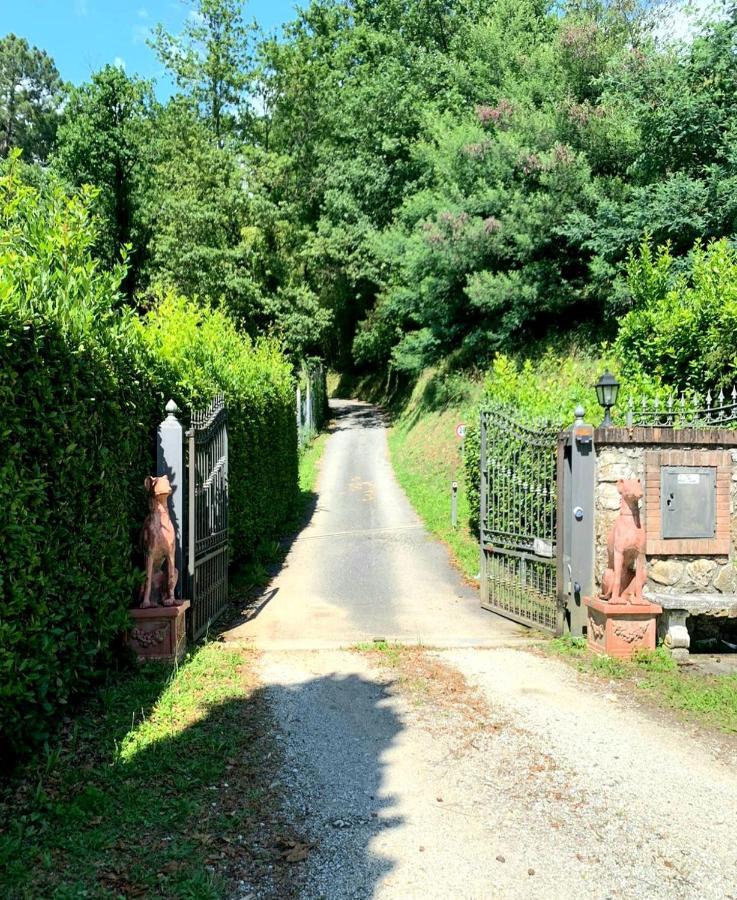 Collealceppo - Residenza Le Sorbe - Piscina Panoramica 13 Km Dal Mare Montemagno (Lucca) Exterior photo