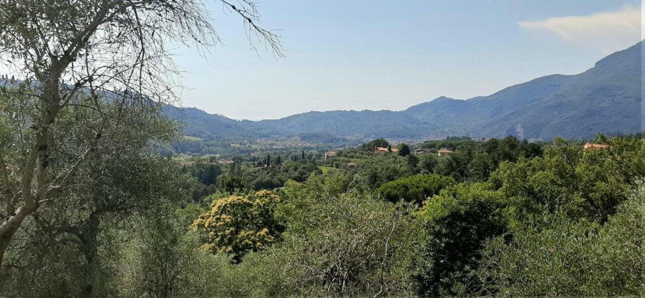 Collealceppo - Residenza Le Sorbe - Piscina Panoramica 13 Km Dal Mare Montemagno (Lucca) Exterior photo