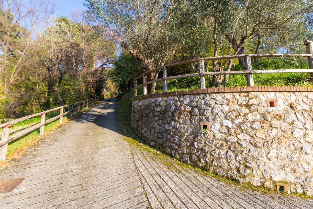 Collealceppo - Residenza Le Sorbe - Piscina Panoramica 13 Km Dal Mare Montemagno (Lucca) Exterior photo