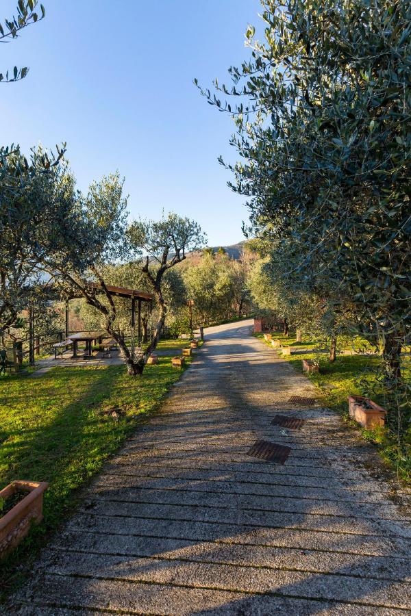 Collealceppo - Residenza Le Sorbe - Piscina Panoramica 13 Km Dal Mare Montemagno (Lucca) Exterior photo