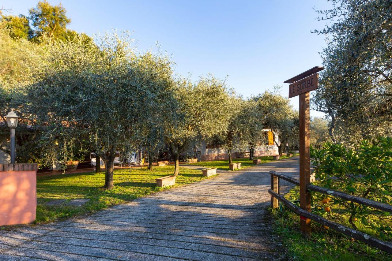 Collealceppo - Residenza Le Sorbe - Piscina Panoramica 13 Km Dal Mare Montemagno (Lucca) Exterior photo